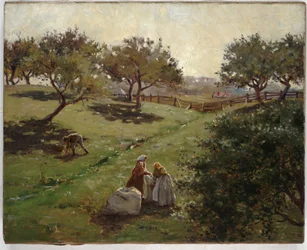Apple orchard, 1892
